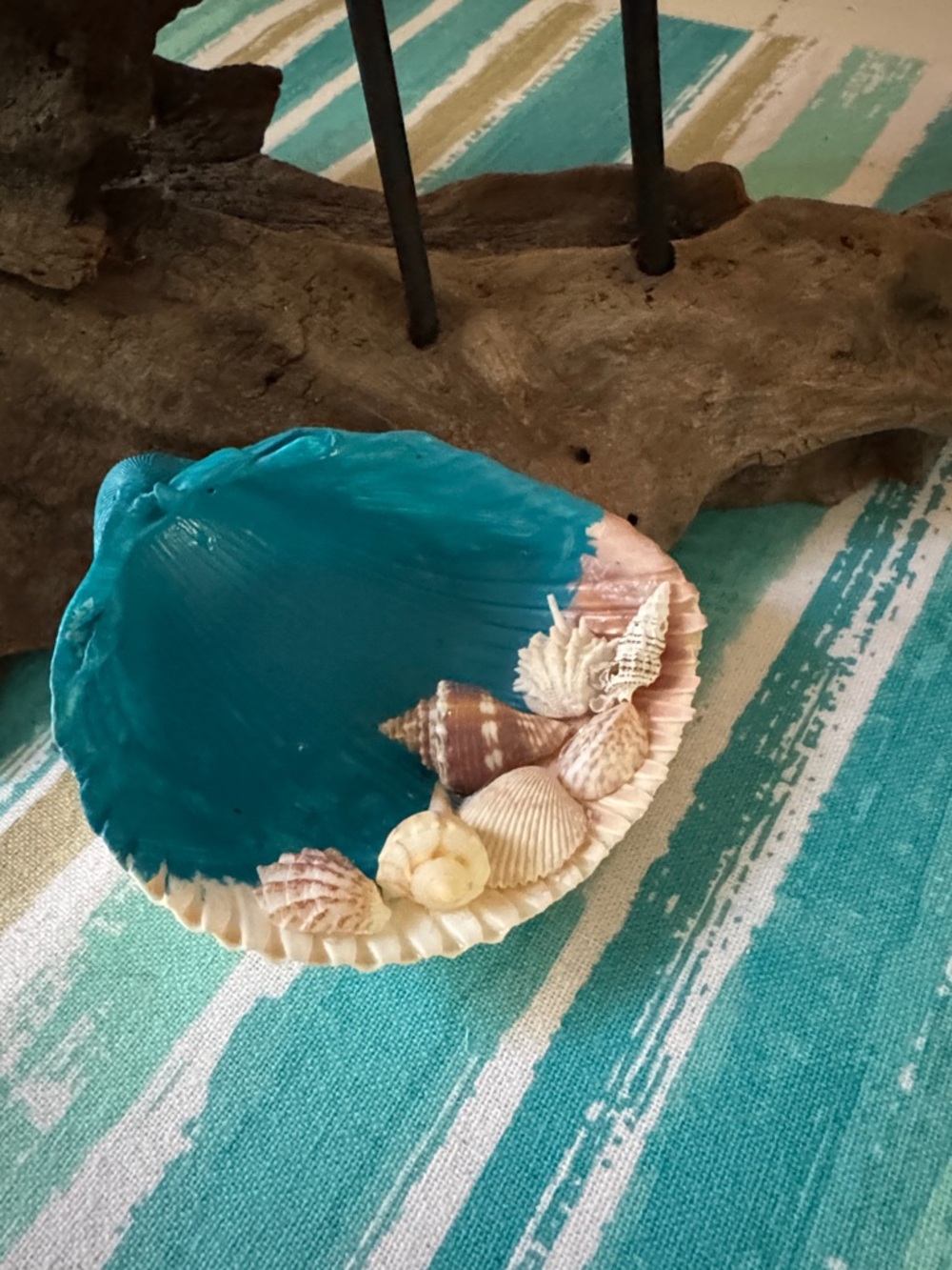 Seashell Decor - Picture 2 of 3